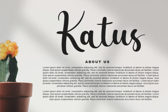 Holiday Stories Font PNG with transparent background - Preview 2