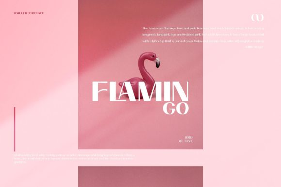 Boiller Font - Preview 1
