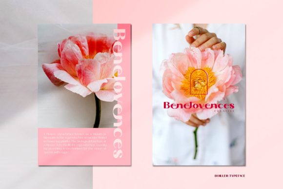 Boiller Font - Preview 3