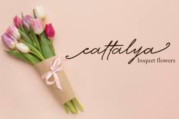Bright Script Font - Preview 1