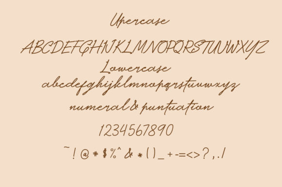 Bright Script Font - Preview 6