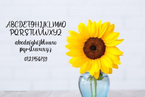 Esfan Script Font - Preview 4
