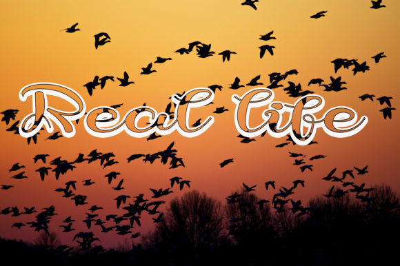 Black Pearl Font - Preview 3