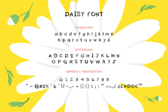 Daisy Font - Preview 1