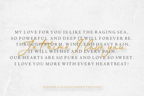 Dronningen Signature Font - Preview 3