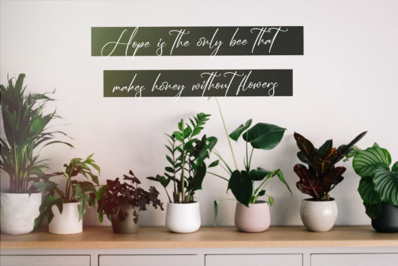 Jasmartha Rosebery Font PNG with transparent background - Preview 3