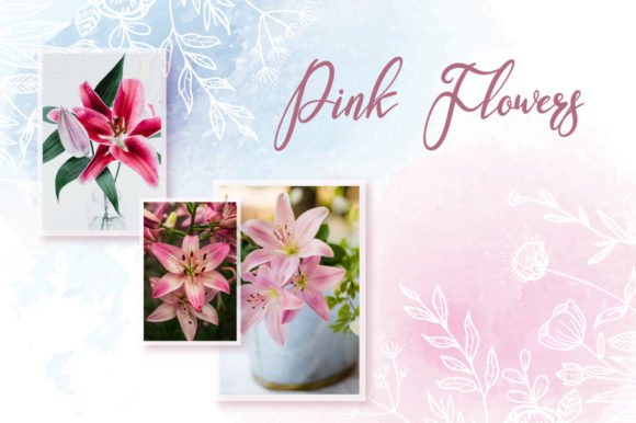 Miskroxy Font PNG with transparent background - Preview 2