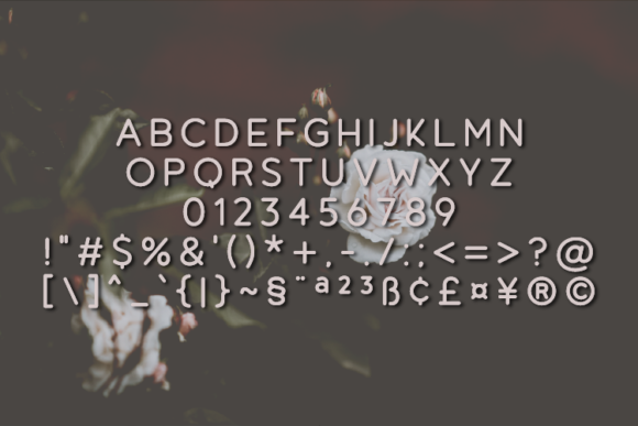 Blome Font - Preview 1