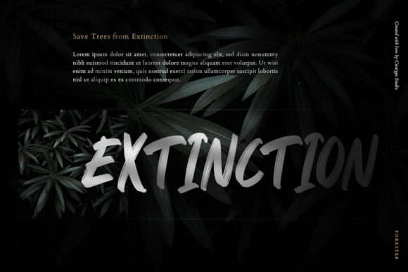 Forester Font - Preview 1