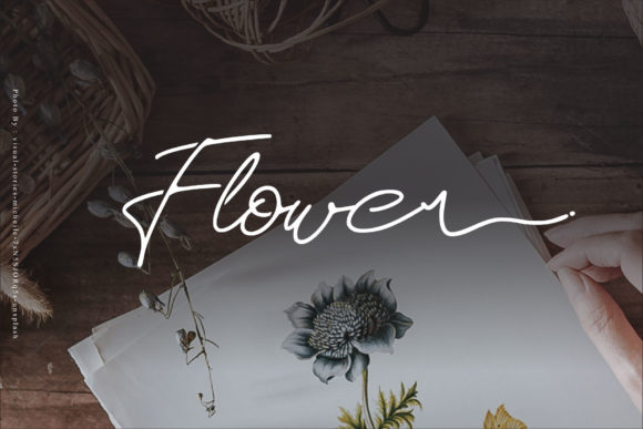 Rosa Signature Font PNG with transparent background - Preview 1