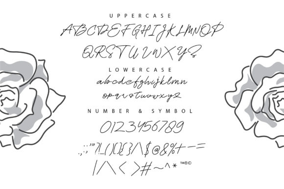 Rosa Signature Font PNG with transparent background - Preview 3