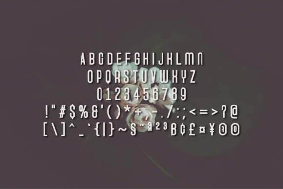 Rosexelfy Font PNG with transparent background - Preview 1