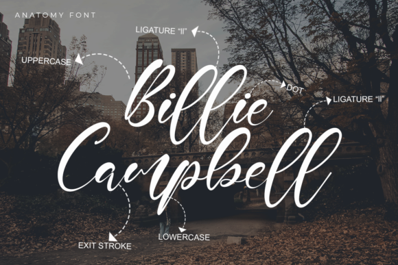 Dainford Font - Preview 1