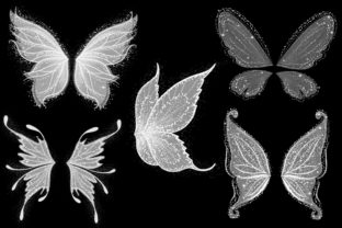 Fairy Wings PNG Files. Graphic by SassyDesign · Creative Fabrica