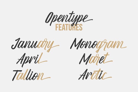 Gretty Script Font - Preview 2
