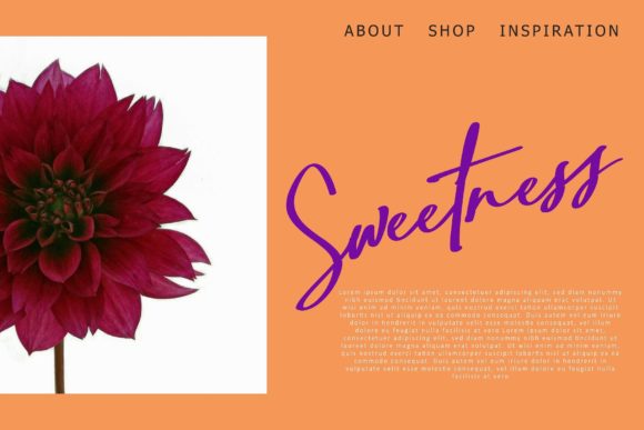 Hidens Font PNG with transparent background - Preview 2