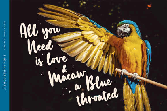 Manlyscript Font PNG with transparent background - Preview 2