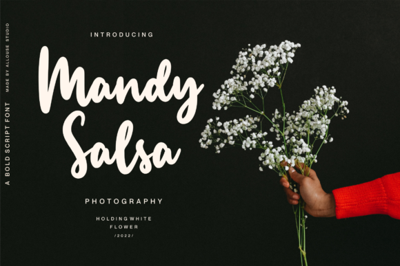 Manlyscript Font PNG with transparent background - Preview 6