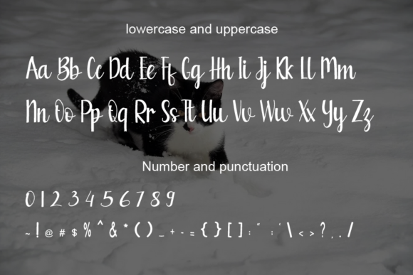 Blaster Font - Preview 3