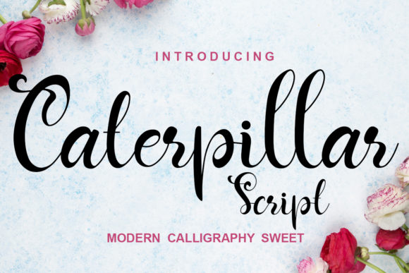 Caterpillar Script Font - Preview 2