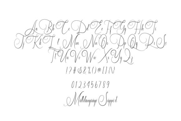 Danillous Font - Preview 2