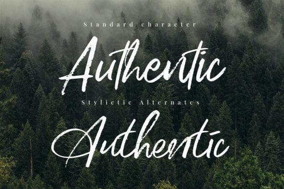 Deutchsland Signature Font - Preview 4