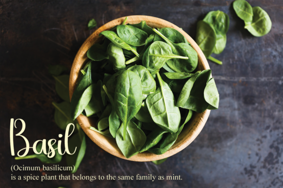 Farmhouse Font - Preview 4