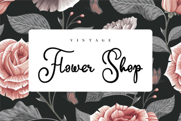 Mirabel Font font preview - 1