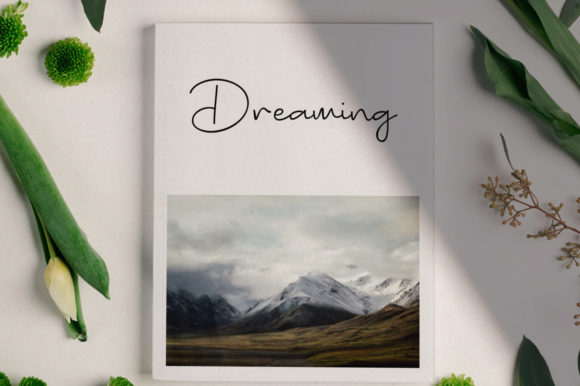 Bugisnia Script Font - Preview 3