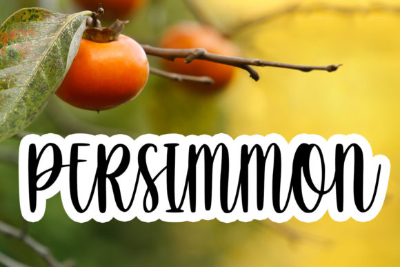 Dreamstar Font - Preview 1