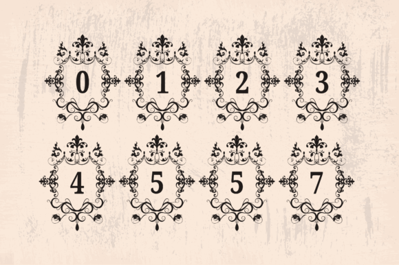 Shabby Chic Flourishes Monograms Font font preview - 4