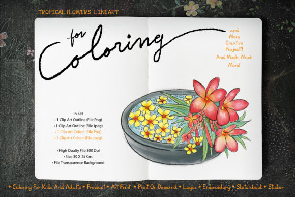 Tropical Flowers for Digital Coloring