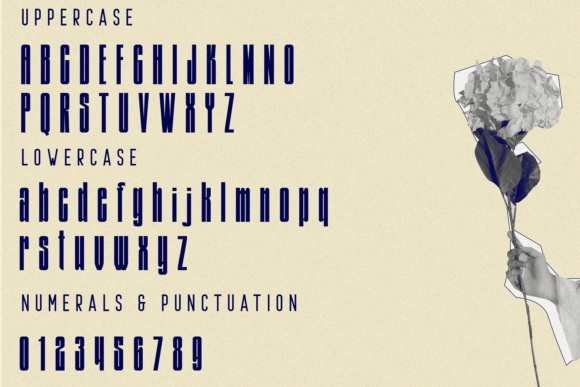 Differin Font PNG with transparent background - Preview 5