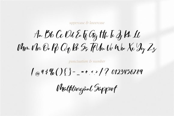 Oliver Moderna Font PNG with transparent background - Preview 5