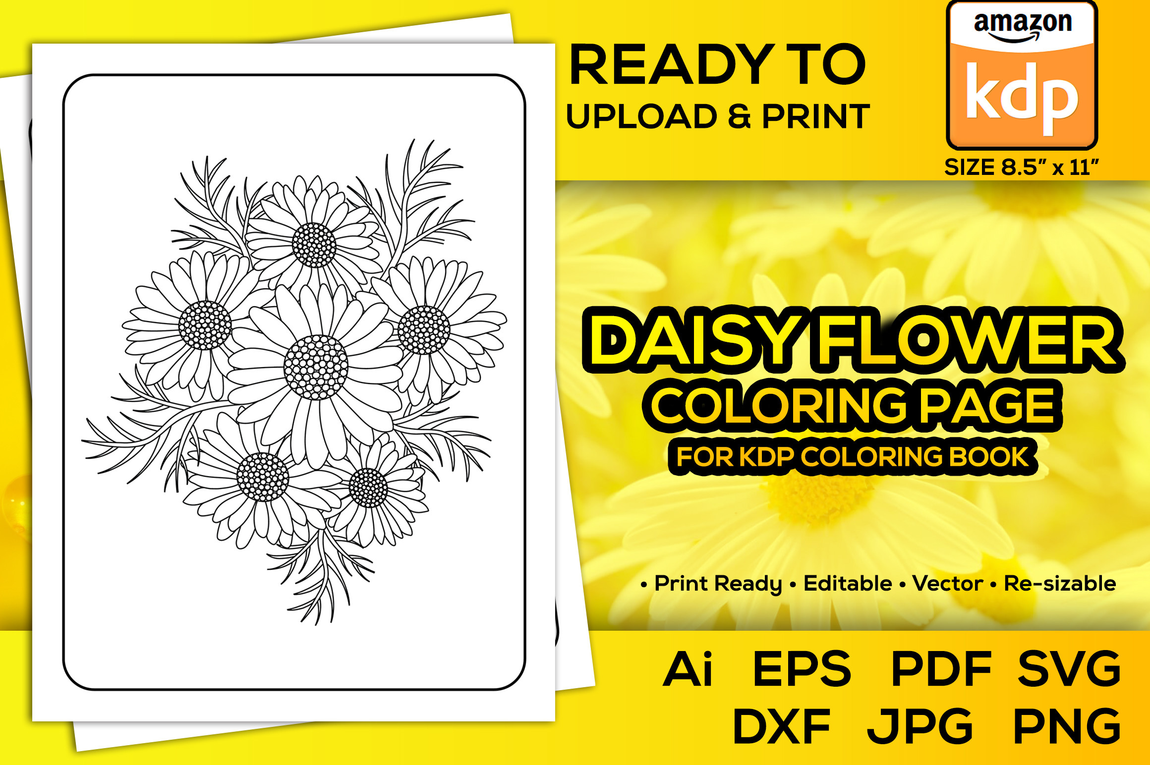 Daisy Flower Coloring Pages Book for Kdp Graphic by TeamlancerBD ...