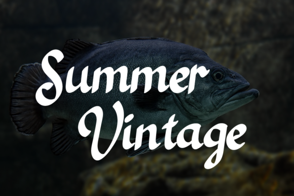 Black Fish Font - Preview 1