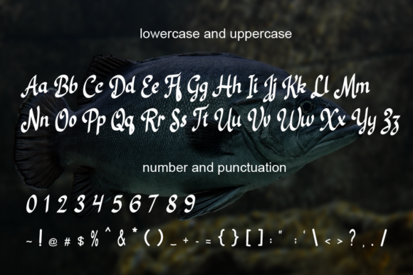 Black Fish Font - Preview 3