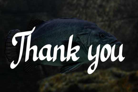 Black Fish Font - Preview 4