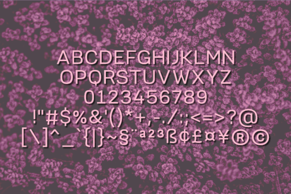 Blizethin Font - Preview 1