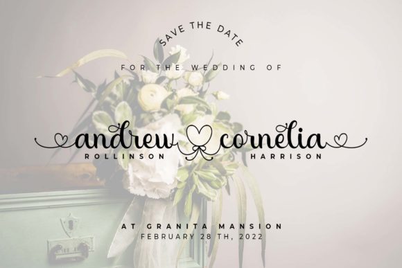 Donna Donnie Font - Preview 3