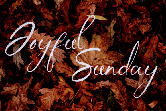 Jocelyn Sadnight Font - Preview 2