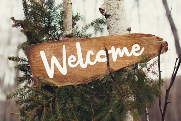 Jungledise Font PNG with transparent background - Preview 4