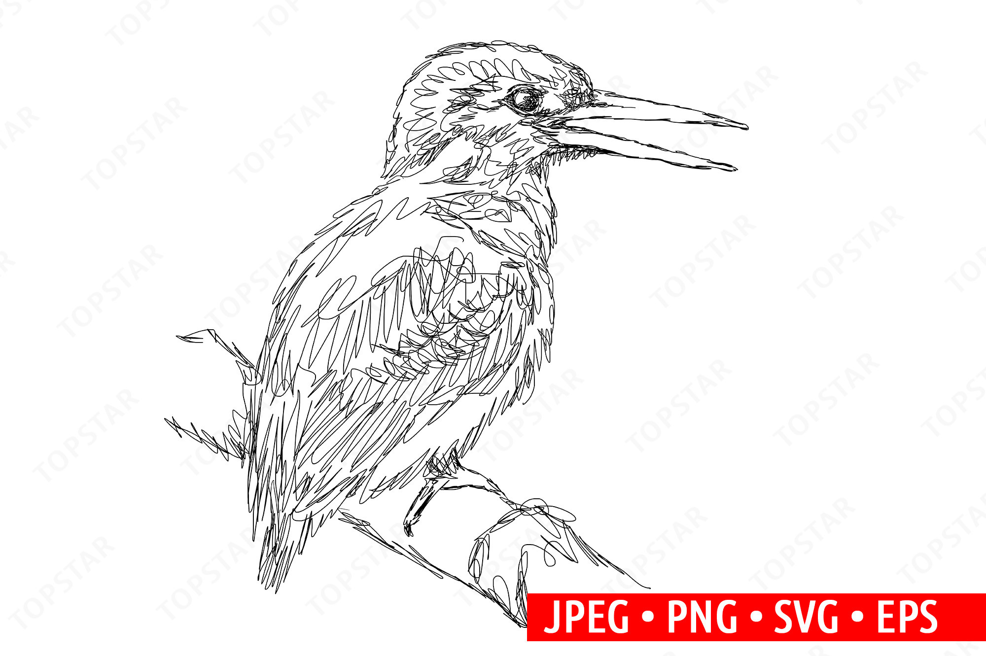 Kingfisher Bird Illustration Abstract