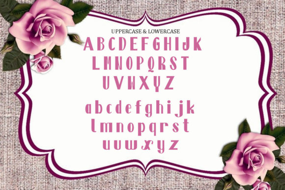 Austin Font - Preview 5