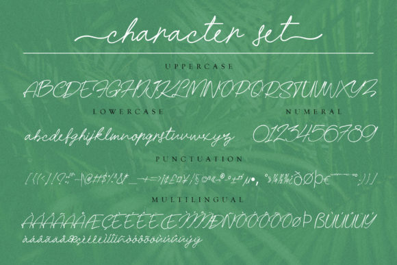 Hanamara Font - Preview 1