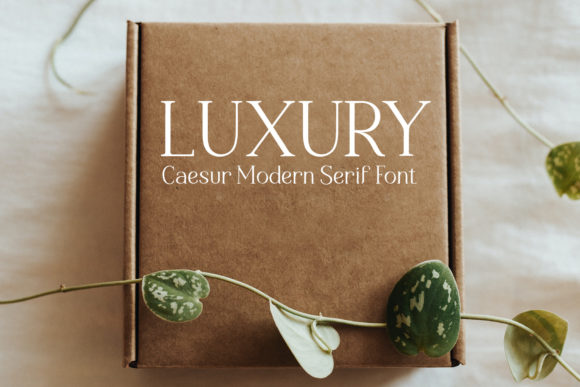 Caesur Font - Preview 6