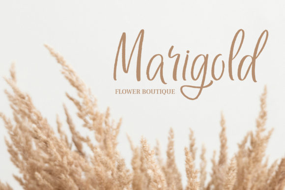 Pillow Fight Font PNG with transparent background - Preview 2