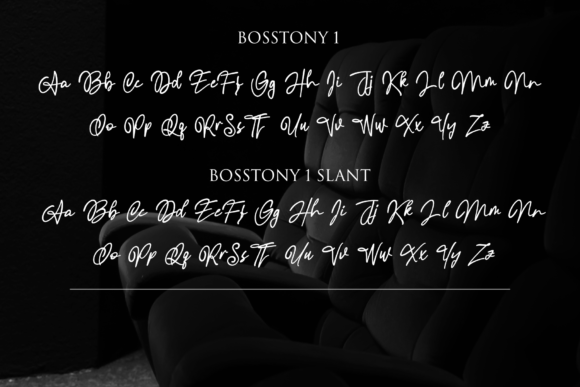 Bosstony 1 Font - Preview 1