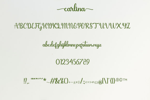 Carlina Font - Preview 6