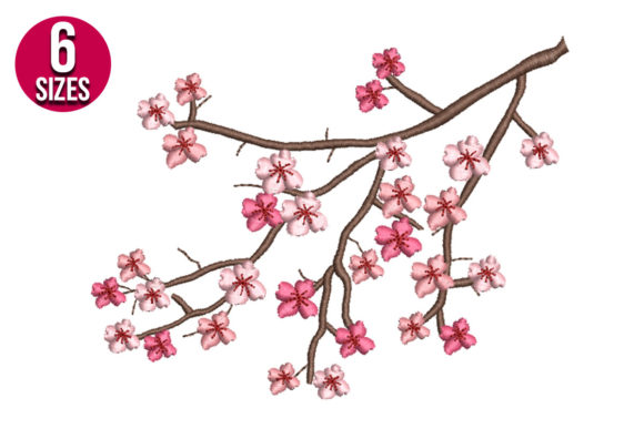 Cherry Blossoms